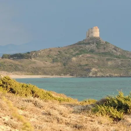 Arangioa - Senafer - *